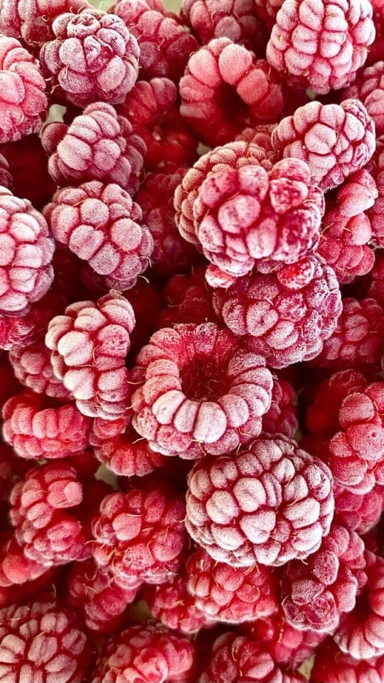 Dondurulmuş   Ahududu (Frambuaz) –  10 Kg