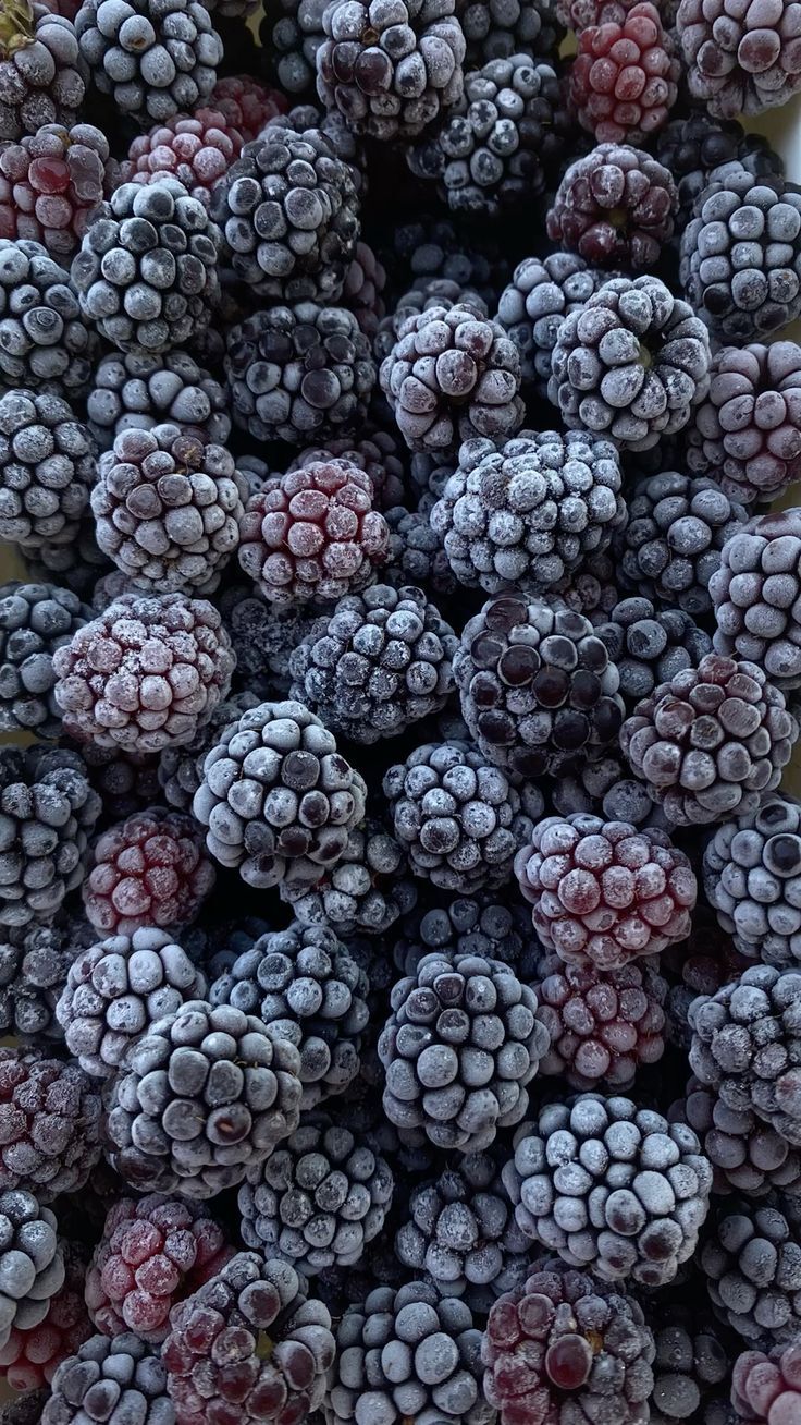 Dondurulmuş  Böğürtlen – 10 Kg