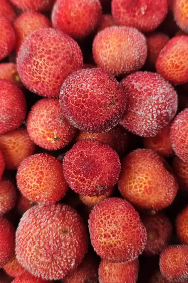 Dondurulmuş  Kocayemiş (Dağ Çileği) – 10 Kg