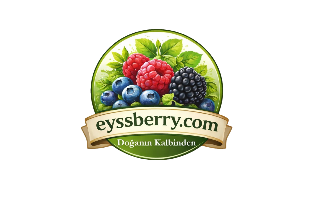 EyssBerry.com | Doğal Orman Meyveleri & Taze Hasat
